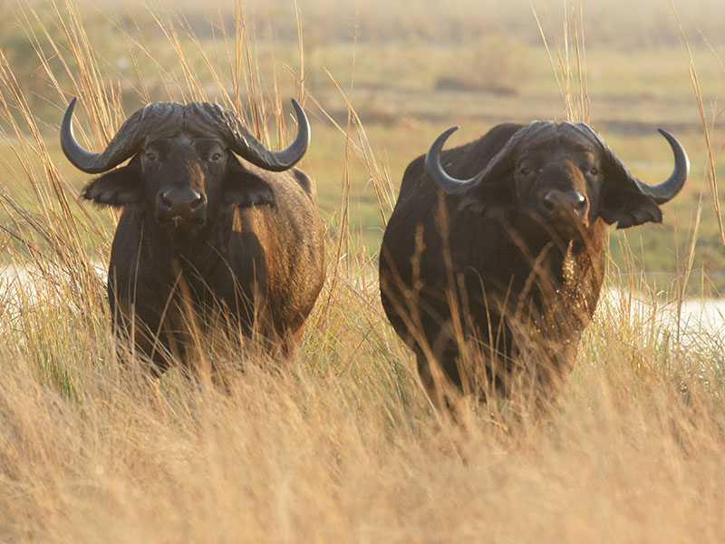 Eco-friendly-travel-tips-for-Namibia-6