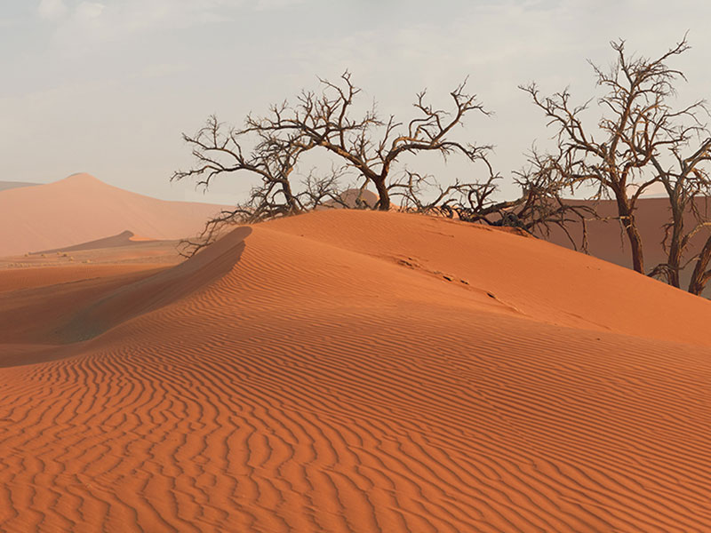 Namibia-Luxury-Travel-Newly-Defined-for-Sophisticated-Discoverers-1