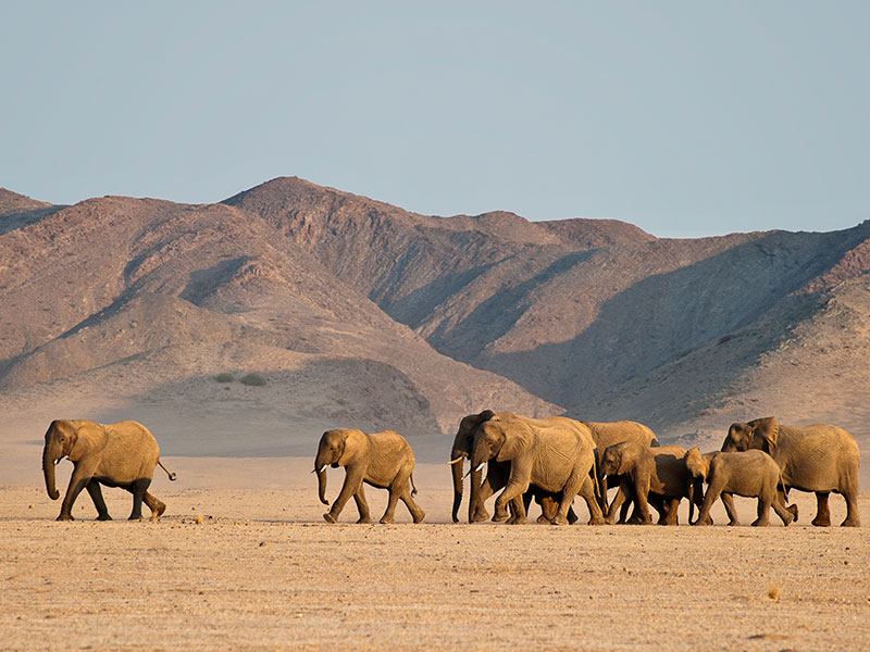 Namibia-Luxury-Travel-Newly-Defined-for-Sophisticated-Discoverers-3