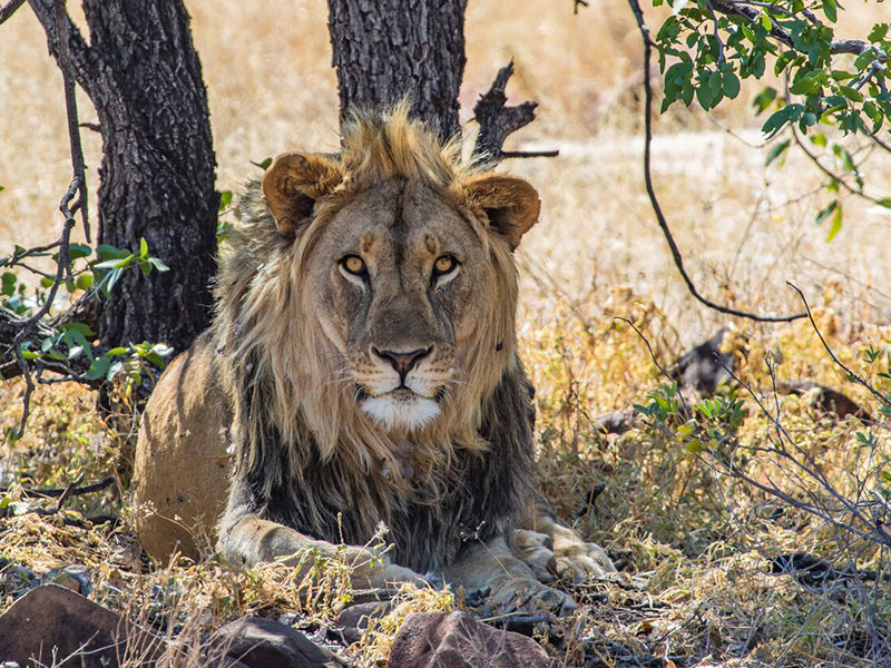 Namibia-Luxury-Travel-Newly-Defined-for-Sophisticated-Discoverers-4
