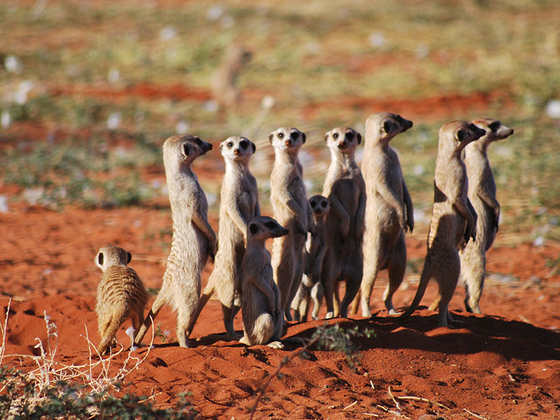 Slow-travel-in-Namibia-2