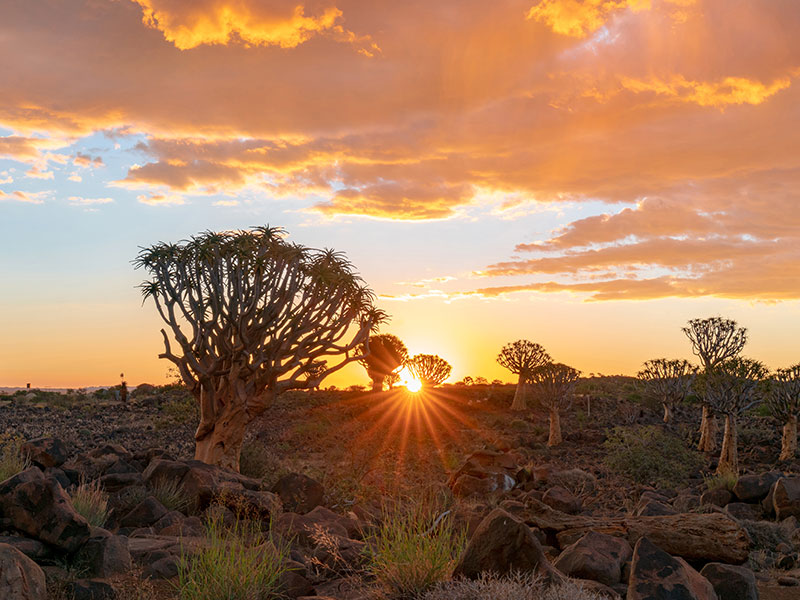 The-rich-history-of-Namibia-–-from-the-colonial-era-to-independence-4