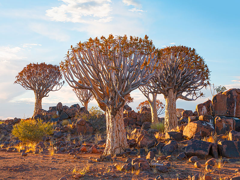 Tips-and-tricks-for-a-safe-and-enjoyable-camping-holiday-in-Namibia-1