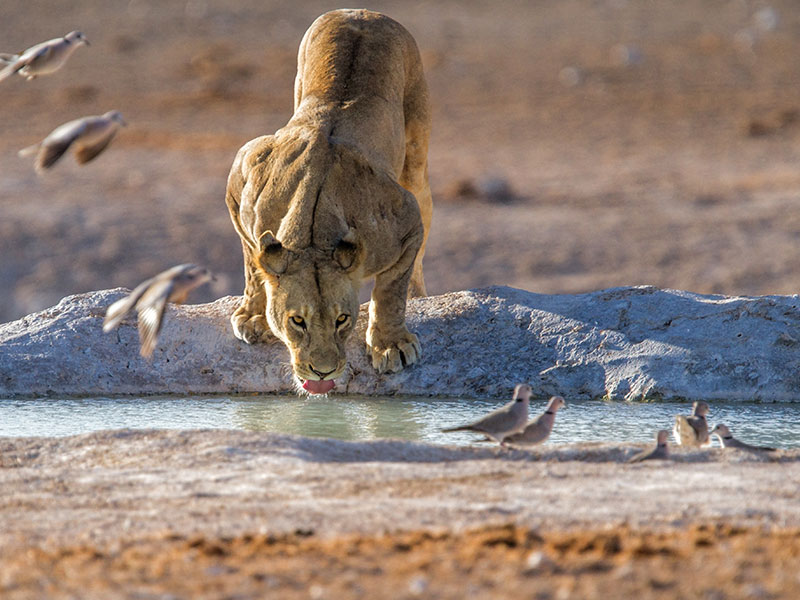 Tips-and-tricks-for-a-safe-and-enjoyable-camping-holiday-in-Namibia-6