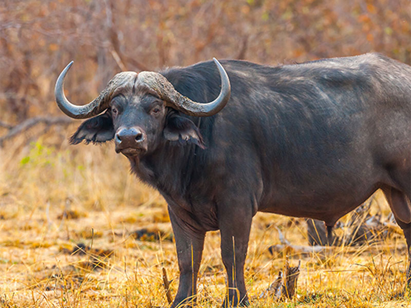 Top-5-best-places-to-travel-to-Namibia-2