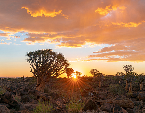 namibia-sunrise