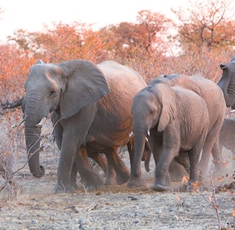 namibia