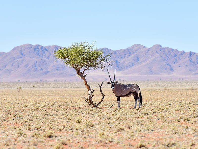 Namibia-Holiday-Packages-1