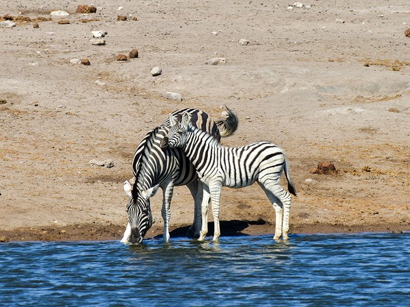 Namibia-Holiday-Packages-4