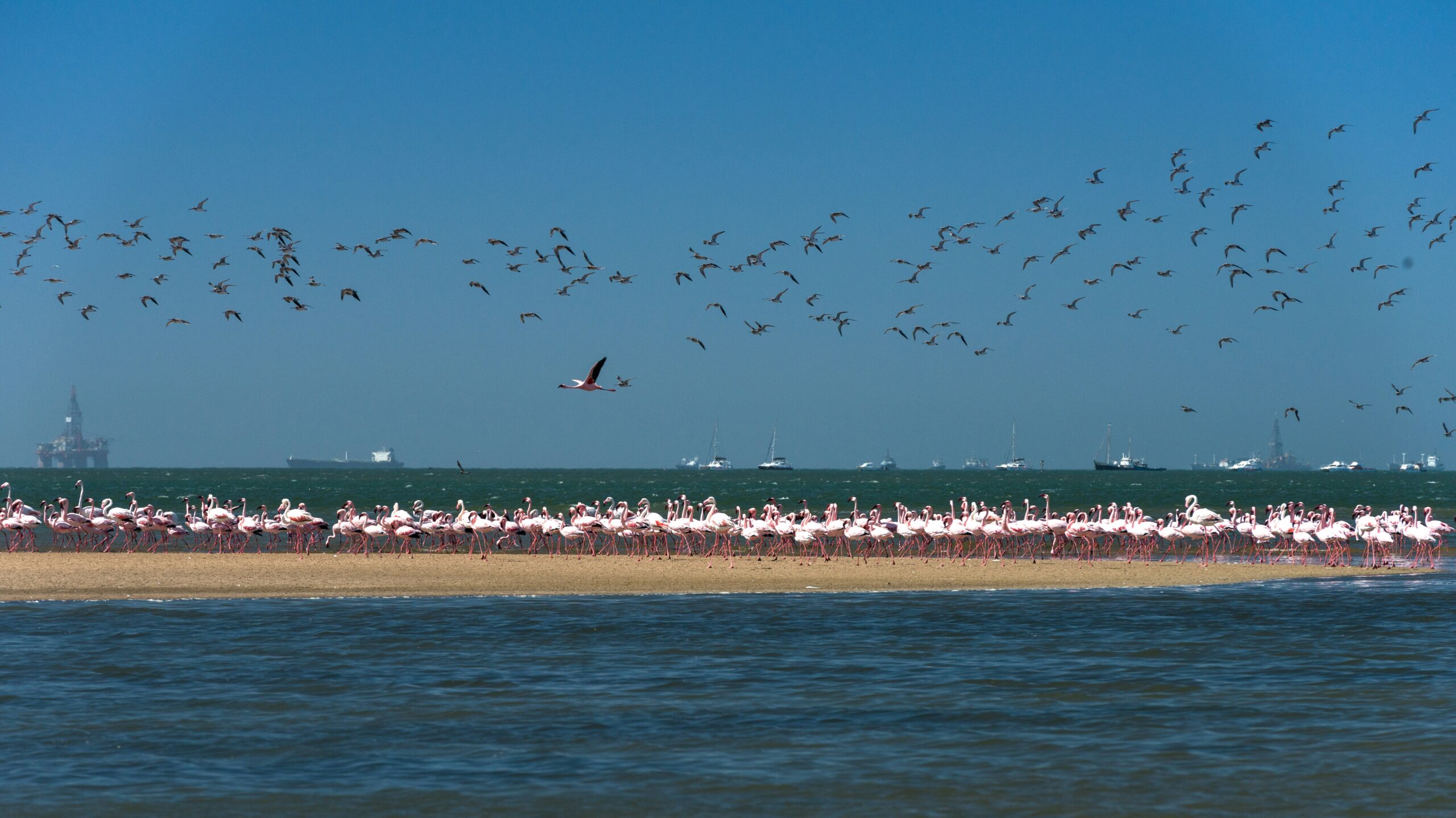 Walvis Bay